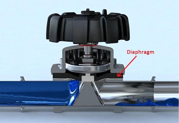 diaphragm or membrane