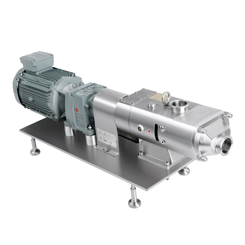 Screw pump with motor and reducer Screw pump with motor and reducer